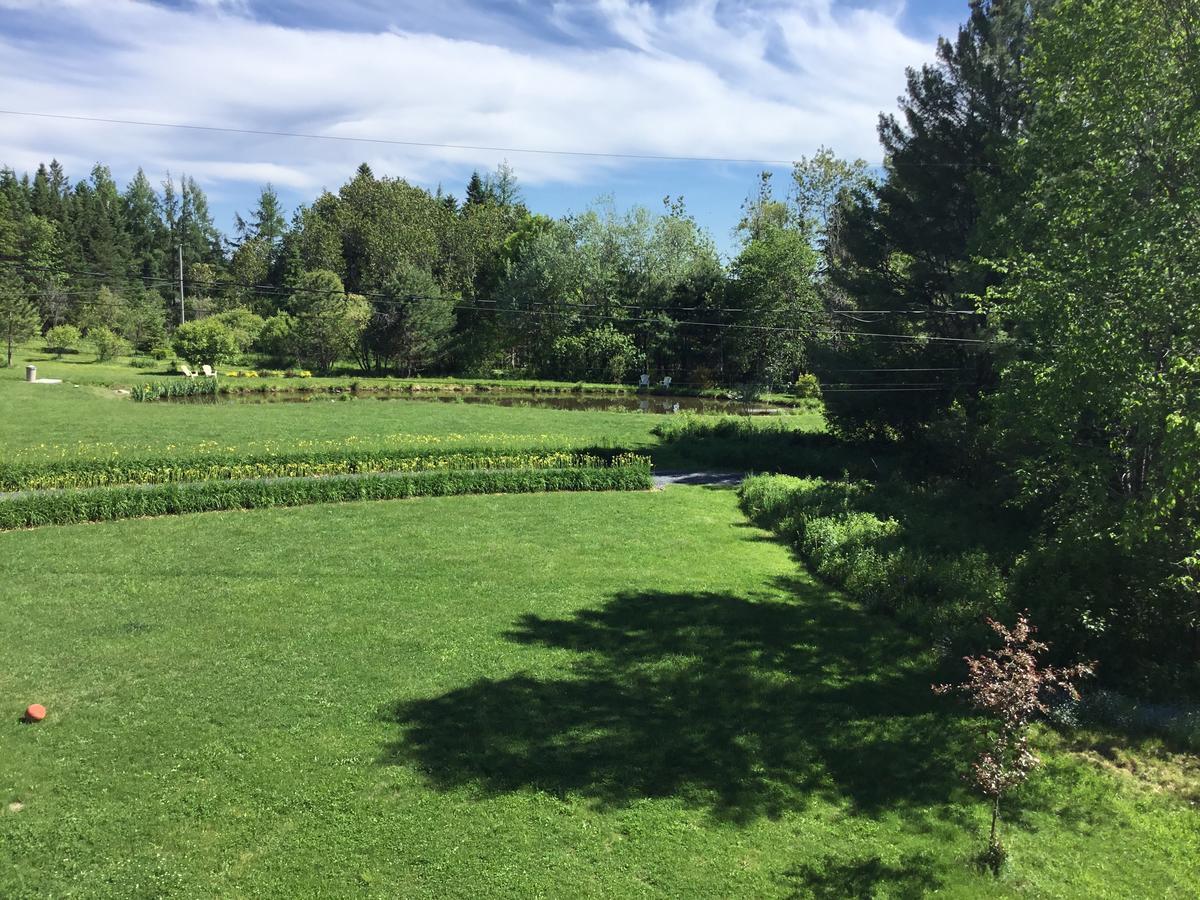 Auberge Taylor Manor Saint-Georges Exterior foto